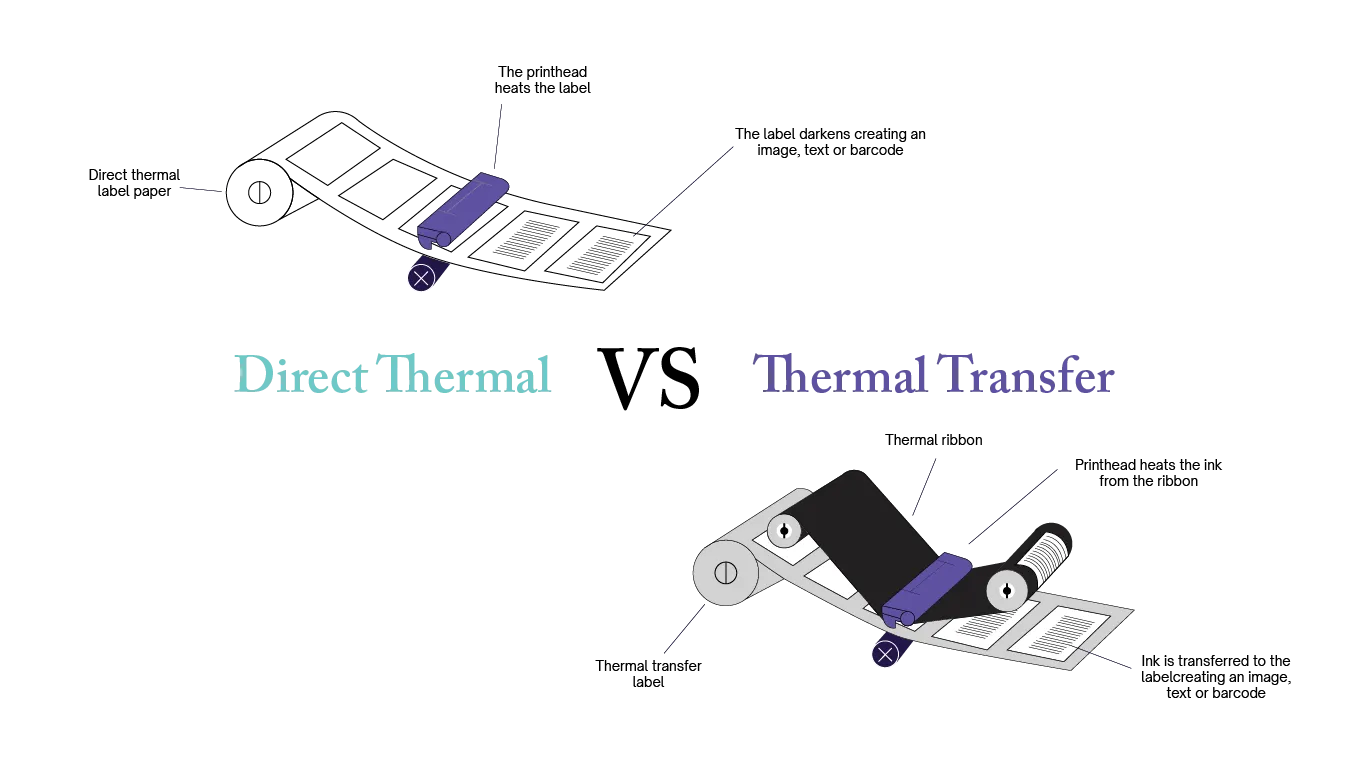 Direct thermal vs thermal transfer
